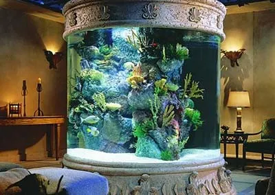Aquarium-installations,-refurbishments-and-aquascapes