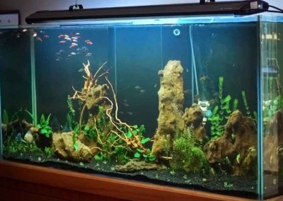 Standard Aquarium