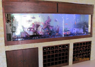 Custom built into the wall Aquarium