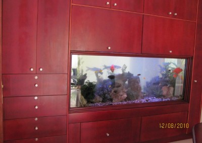 Custom built into the wall fish tank