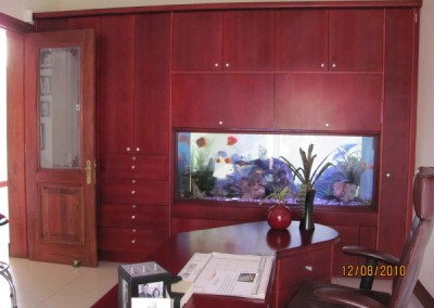 Custom built into the wall fish tank