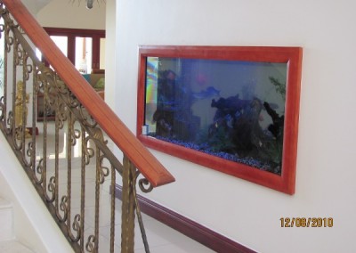 Custom built into the wall fish tank