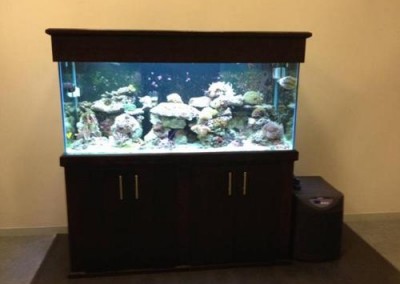 cabinet aquarium