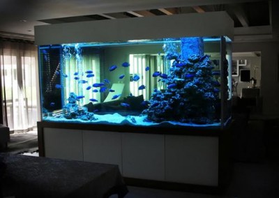 Large cabinet aquarium