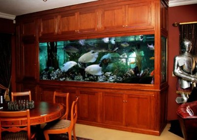 Large cabinet aquarium
