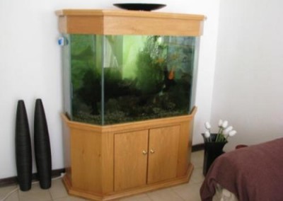 cabinet aquarium