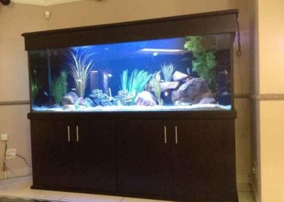 cabinet aquarium