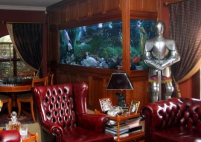 Custom Cabinet fish tank