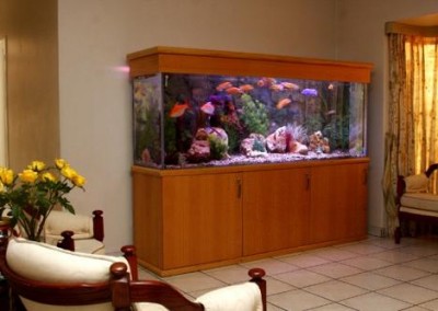 Custom Cabinet fish tank