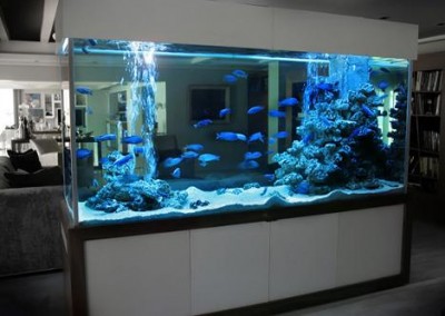 Custom Cabinet Aquarium