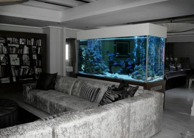 Custom Cabinet fish tank