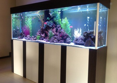 Large cabinet aquarium
