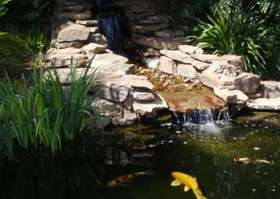 garden pond