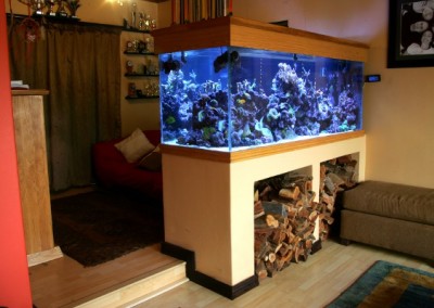 Marine aquarium in a cabinet Fish tank