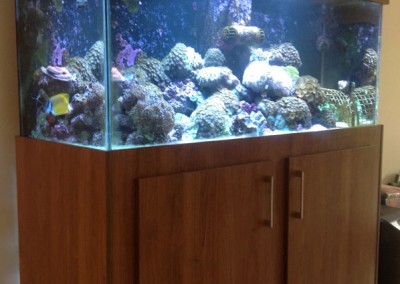 Marine aquarium in a cabinet Fish tank
