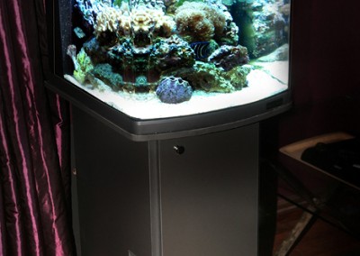 Custom nano aquarium