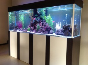 cabinet aquariums 002