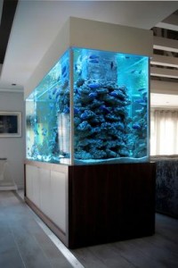cabinet aquariums 014