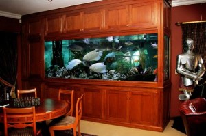 cabinet aquariums 016