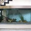 cabinet aquariums 017