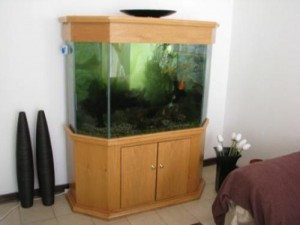 cabinet aquariums 018